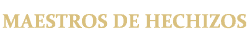 maestros logo pe